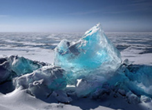 古斯塔沃告别上海海港:这段经历我将永远铭记于心